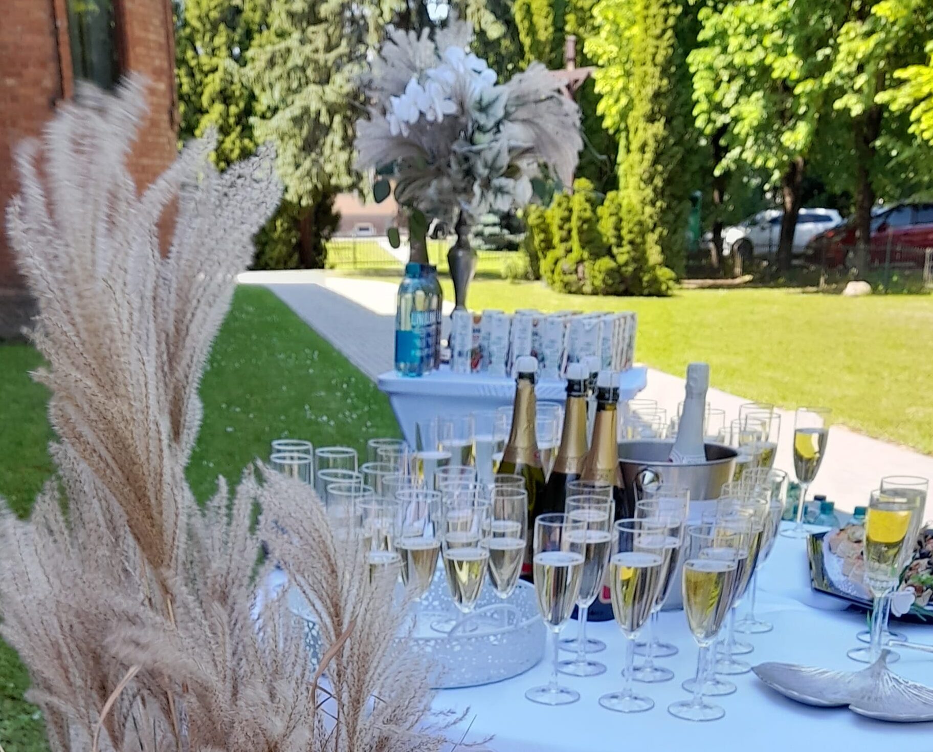 šampano staliukas, stovintis lauke- šampano taurės, sausų augalų dekoracijos, vaišės